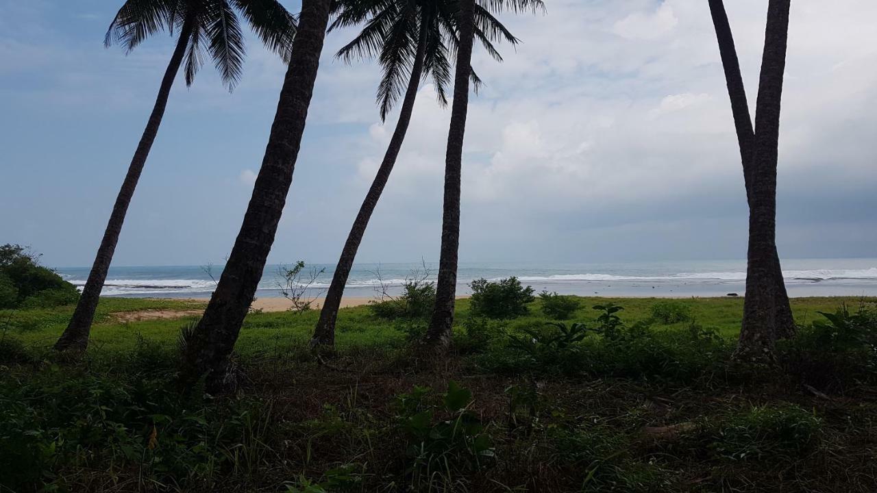 Готель Oseda Nias Surf House Hilibotodane Екстер'єр фото