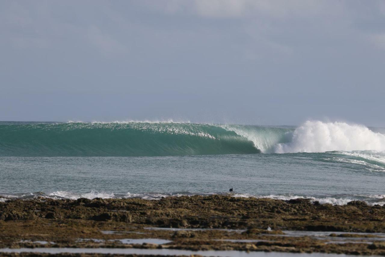 Готель Oseda Nias Surf House Hilibotodane Екстер'єр фото